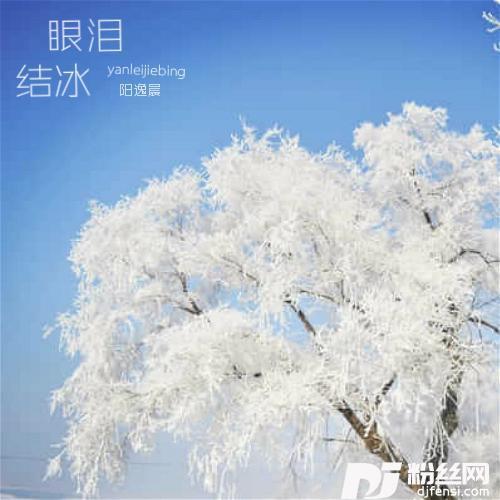 眼泪结冰
