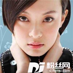 扯线木偶的专辑