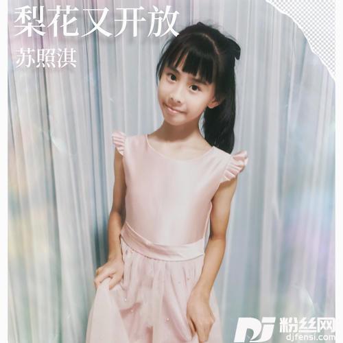 梨花又开放的专辑