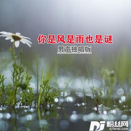 你是风是雨也是谜的专辑