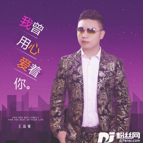 我曾用心爱着你cover:潘美辰的专辑