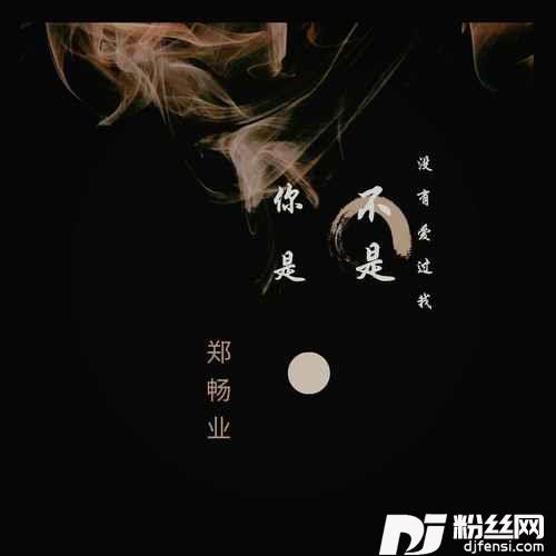 你是不是没有爱过我