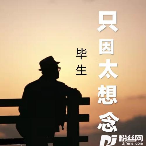 只因太想念