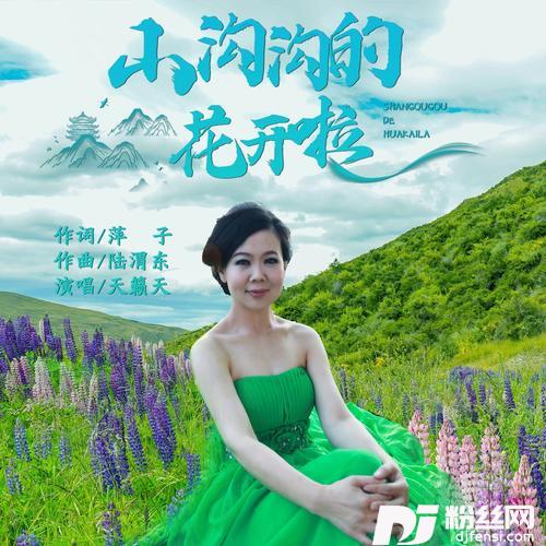 山沟沟的花开啦（DJ舞曲）