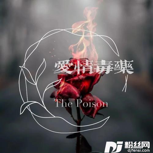 爱情毒药的专辑