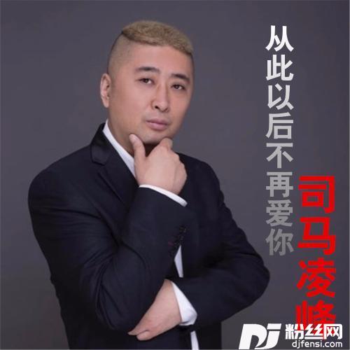 从此以后不再爱你