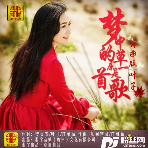 梦中的草原是一首歌舞曲版的专辑