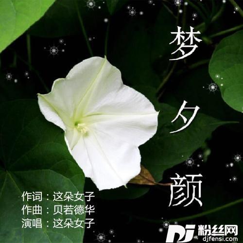 梦夕颜