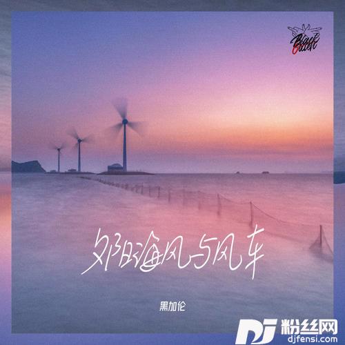 夕阳海风与风车的专辑