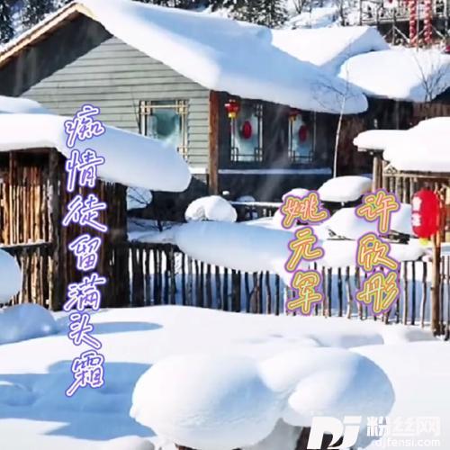 痴情徒留满头霜的专辑