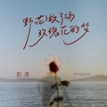 野花做了场玫瑰花的梦的专辑