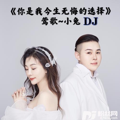 你是我今生无悔的选择（DJ）
