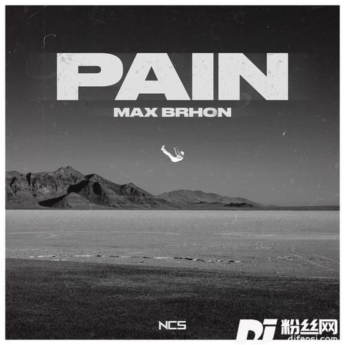 Pain的专辑