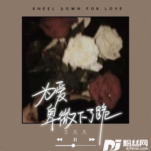 为爱卑微下了跪