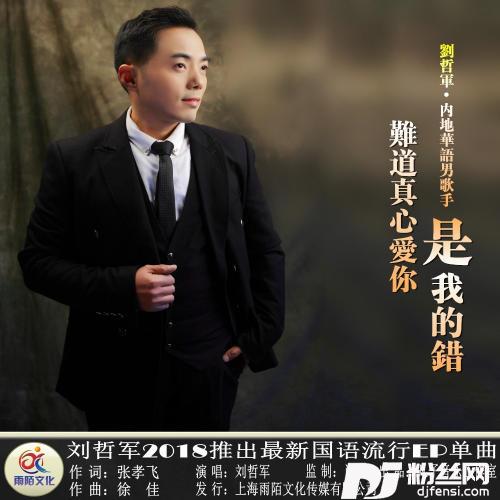 难道真心爱你是我的错的专辑