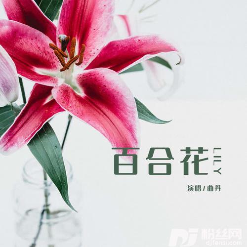 百合花