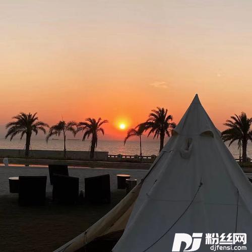 悬溺DJ版的专辑