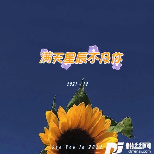满天星辰不及你