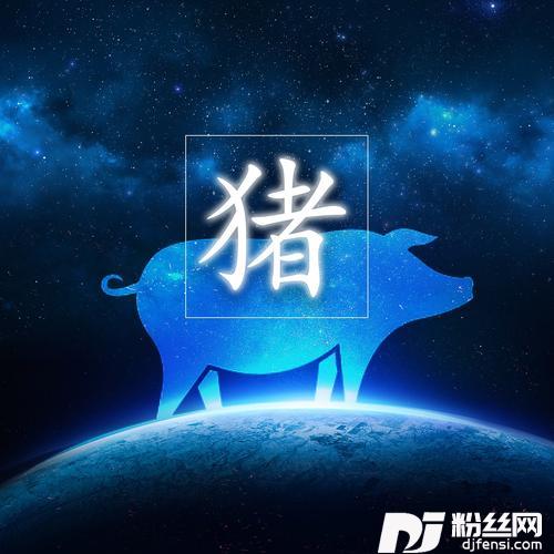 猪歌