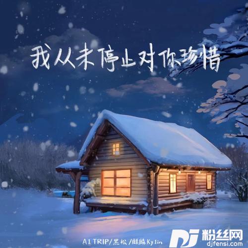 我从未停止对你珍惜