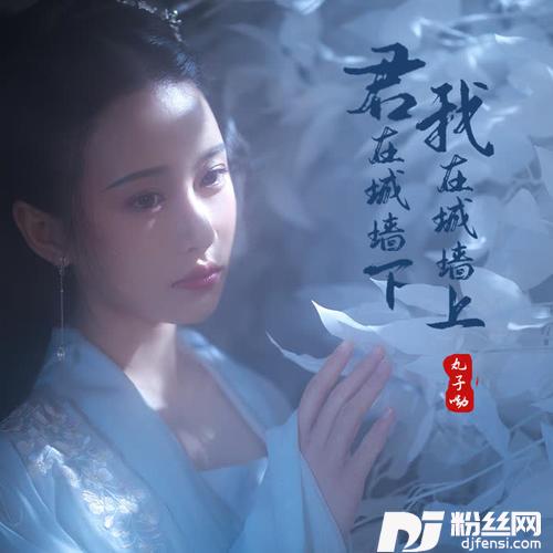 君在城墙下，我在城墙上