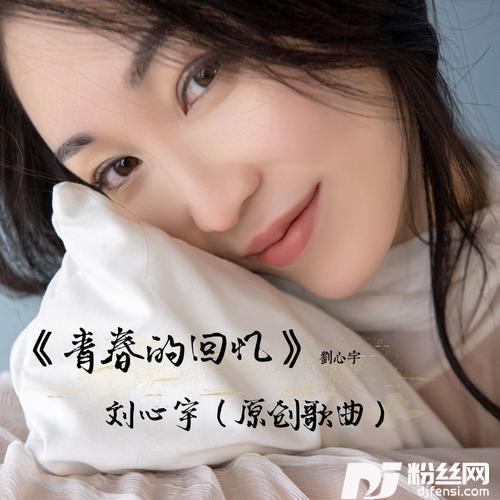 青春的回忆