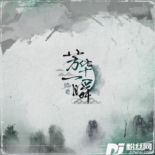 芳华一瞬DJ卡点版