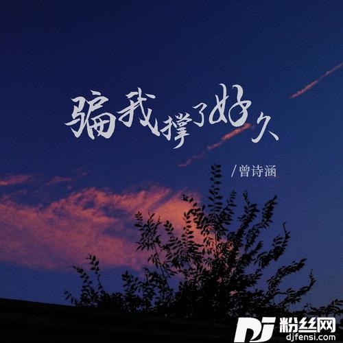 骗我撑了好久DJ默涵版