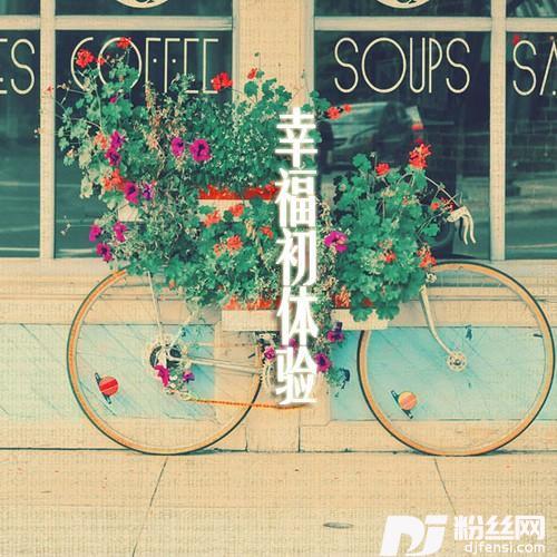 月光的专辑
