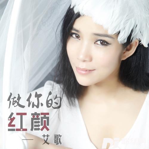做你的红颜（DJ小鹏版）