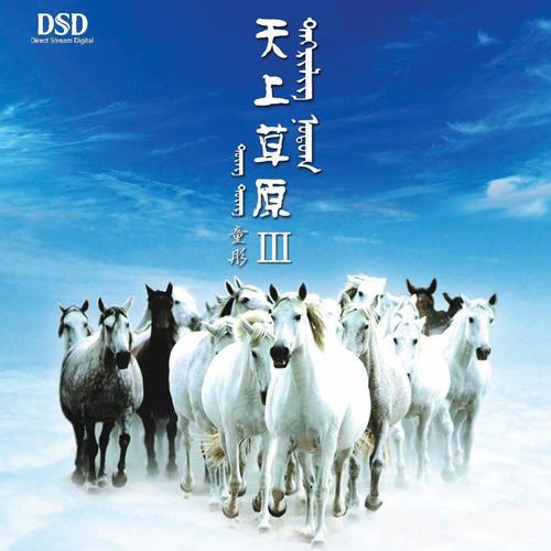 卓玛的专辑