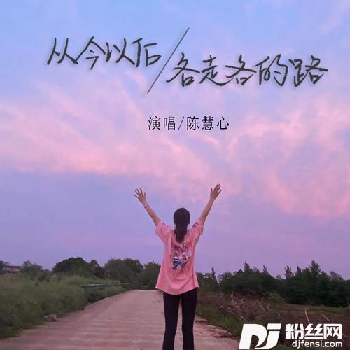 从今以后各走各的路的专辑