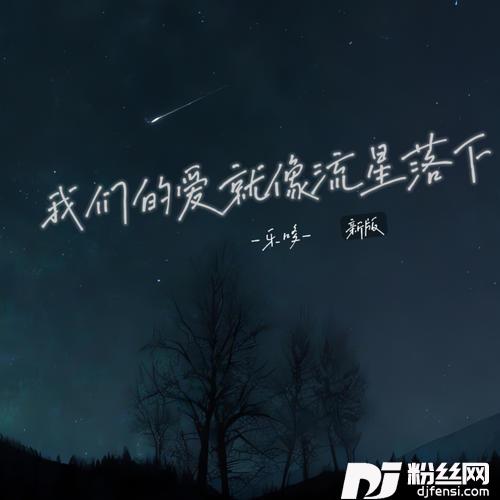 我们的爱就像流星落下新版的专辑