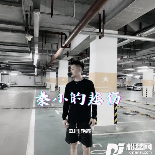 秦小的悲伤大哥远版
