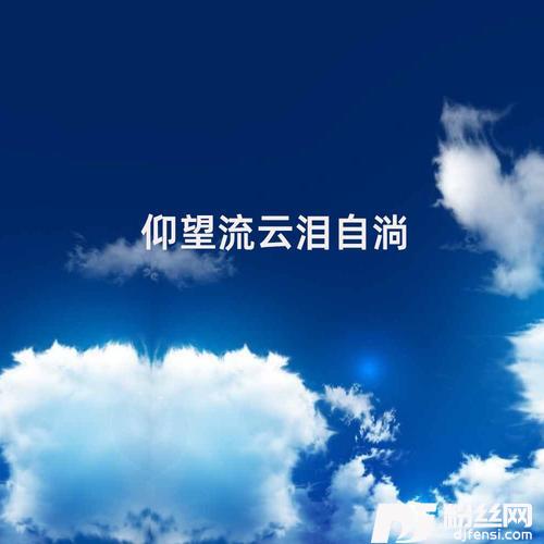 仰望流云泪自淌