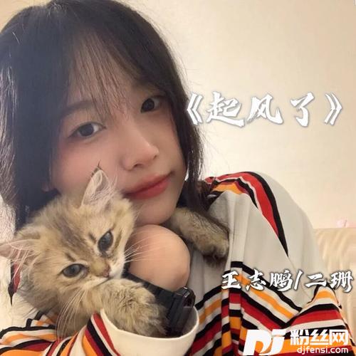 起风了cover:二珊的专辑
