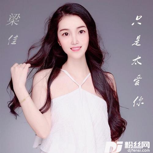 只是太爱你