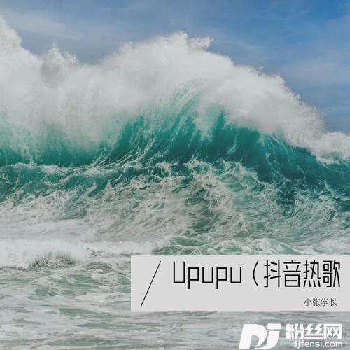 Upupucover:小皮皮爱习题