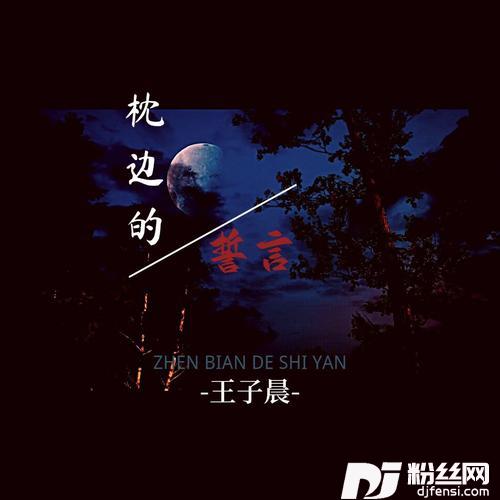 枕边的誓言（抖音版）的专辑