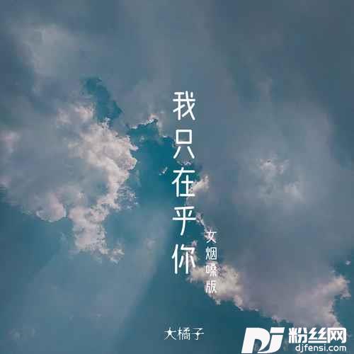 我只在乎你女烟嗓版的专辑