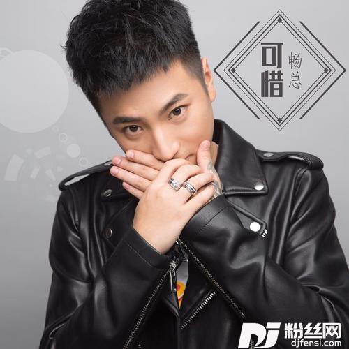 可惜的专辑