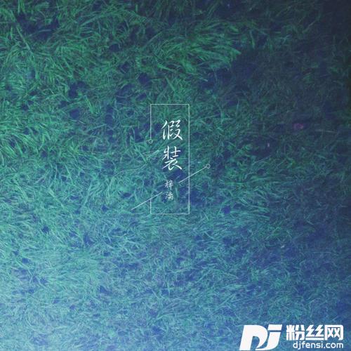 假装
