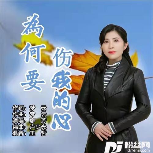 为何要伤我的心