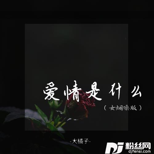爱情是什么DJ女烟嗓版