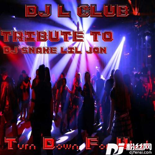TurnDownforWhat的专辑