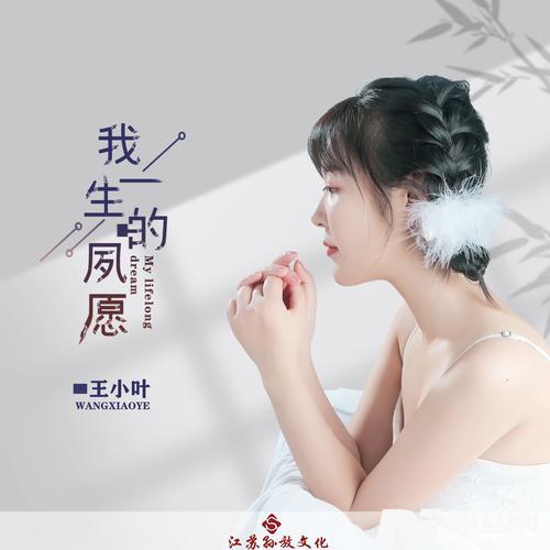 我一生的夙愿（DJ默涵版）