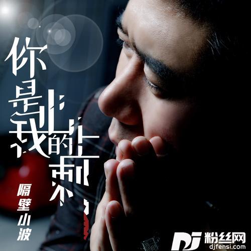 你是我心上的刺