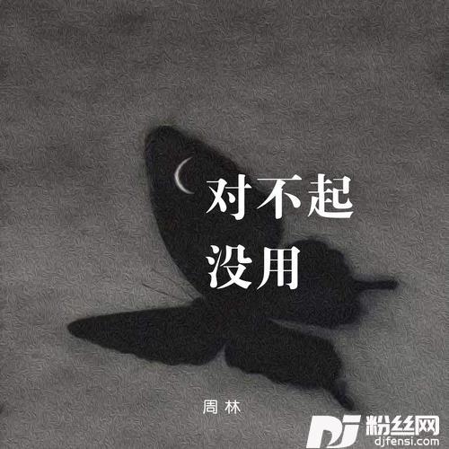 对不起没用