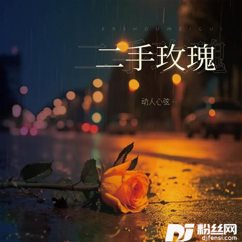 二手玫瑰的专辑