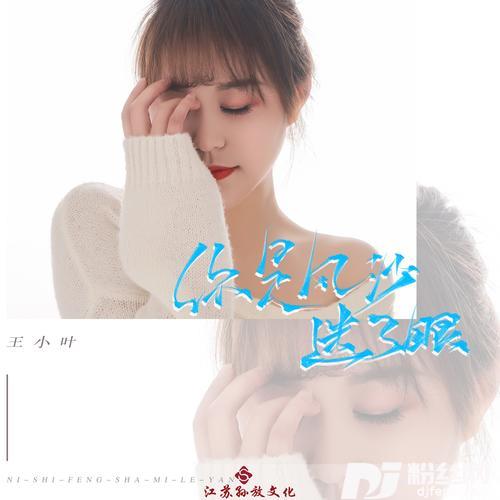 你是风沙迷了眼（DJ版）